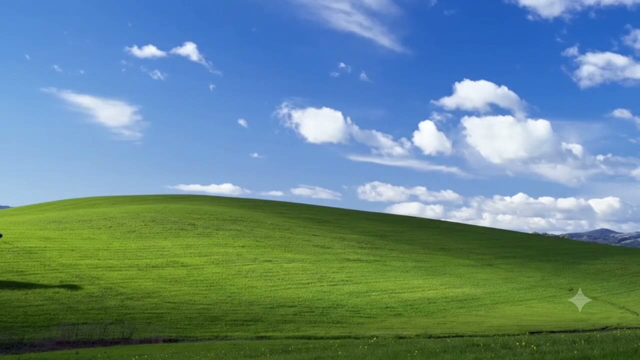 the green hill from your old computer is a real pasture and the herd lives there (Bliss Cam, 10 hours)